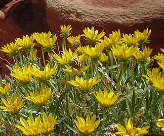 DSCN1040_JPG